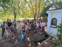 Book-kanj ránk Gyerekegyetem 2024. 08. 29. Ravazd - Erdei Iskola képek